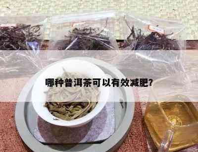 哪种普洱茶可以有效减肥？