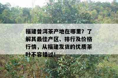 福建普洱茶产地在哪里？了解其更佳产区、排行及价格行情，从福建发货的优质茶叶不容错过！