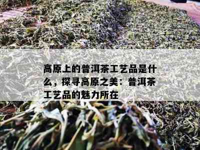 高原上的普洱茶工艺品是什么，探寻高原之美：普洱茶工艺品的魅力所在