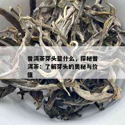 普洱茶芽头是什么，探秘普洱茶：了解芽头的奥秘与价值