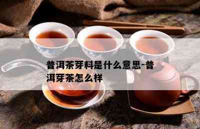 普洱茶芽料是什么意思-普洱芽茶怎么样