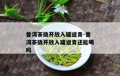 普洱茶撬开放入罐返青-普洱茶撬开放入罐返青还能喝吗