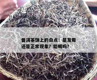 普洱茶饼上的白点：是发霉还是正常现象？能喝吗？