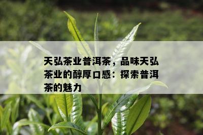 天弘茶业普洱茶，品味天弘茶业的醇厚口感：探索普洱茶的魅力