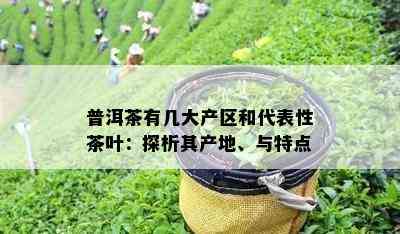 普洱茶有几大产区和代表性茶叶：探析其产地、与特点