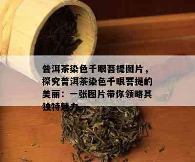 普洱茶染色千眼菩提图片，探究普洱茶染色千眼菩提的美丽：一张图片带你领略其独特魅力