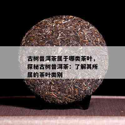 古树普洱茶属于哪类茶叶，探秘古树普洱茶：了解其所属的茶叶类别