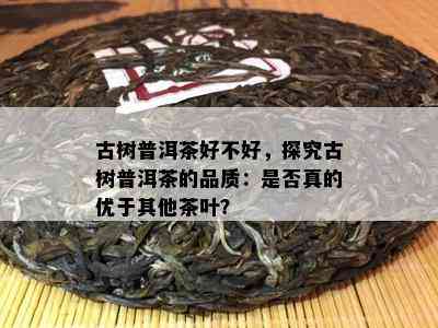 古树普洱茶好不好，探究古树普洱茶的品质：是否真的优于其他茶叶？