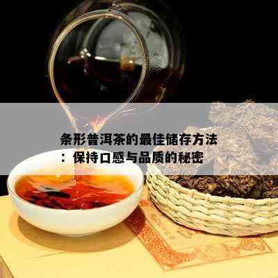 条形普洱茶的更佳储存方法：保持口感与品质的秘密