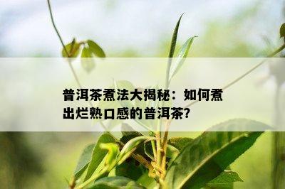 普洱茶煮法大揭秘：如何煮出烂熟口感的普洱茶？