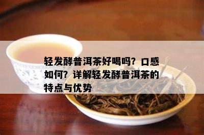 轻发酵普洱茶好喝吗？口感如何？详解轻发酵普洱茶的特点与优势