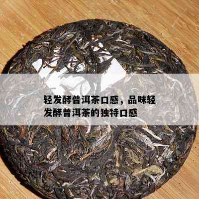 轻发酵普洱茶口感，品味轻发酵普洱茶的独特口感