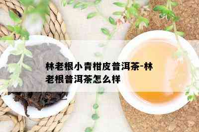 林老根小青柑皮普洱茶-林老根普洱茶怎么样