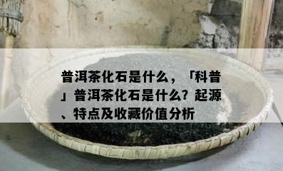 普洱茶化石是什么，「科普」普洱茶化石是什么？起源、特点及收藏价值分析