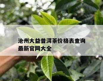 沧州大益普洱茶价格表查询最新官网大全