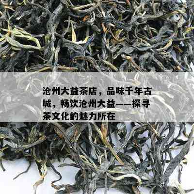 沧州大益茶店，品味千年古城，畅饮沧州大益——探寻茶文化的魅力所在