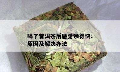 喝了普洱茶后感觉饿得快：原因及解决办法