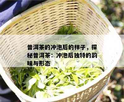 普洱茶的冲泡后的样子，探秘普洱茶：冲泡后独特的韵味与形态