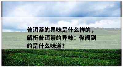 普洱茶的异味是什么样的，解析普洱茶的异味：你闻到的是什么味道？