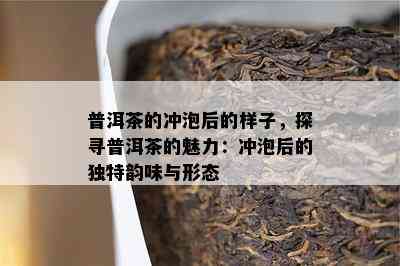 普洱茶的冲泡后的样子，探寻普洱茶的魅力：冲泡后的独特韵味与形态