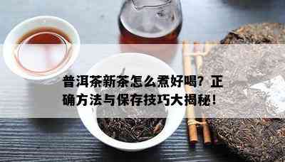 普洱茶新茶怎么煮好喝？正确方法与保存技巧大揭秘！