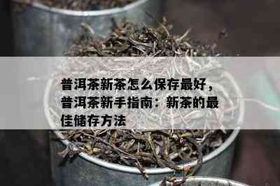 普洱茶新茶怎么保存更好，普洱茶新手指南：新茶的更佳储存方法