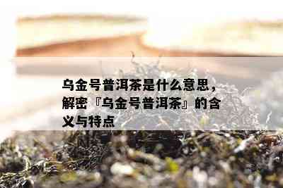 乌金号普洱茶是什么意思，解密『乌金号普洱茶』的含义与特点