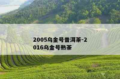 2005乌金号普洱茶-2016乌金号熟茶