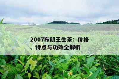 2007布朗王生茶：价格、特点与功效全解析