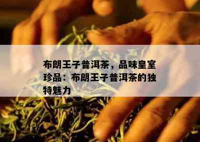 布朗王子普洱茶，品味皇室珍品：布朗王子普洱茶的独特魅力