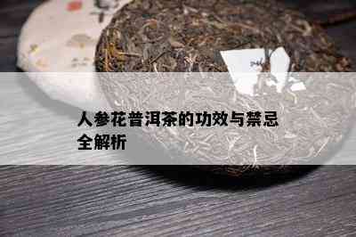 人参花普洱茶的功效与禁忌全解析