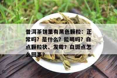 普洱茶饼里有黑色颗粒：正常吗？是什么？能喝吗？白点颗粒状、发霉？白斑点怎么回事？