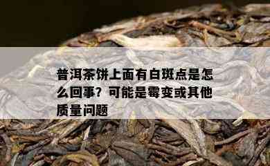 普洱茶饼上面有白斑点是怎么回事？可能是霉变或其他质量问题