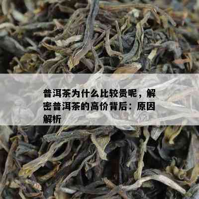 普洱茶为什么比较贵呢，解密普洱茶的高价背后：原因解析