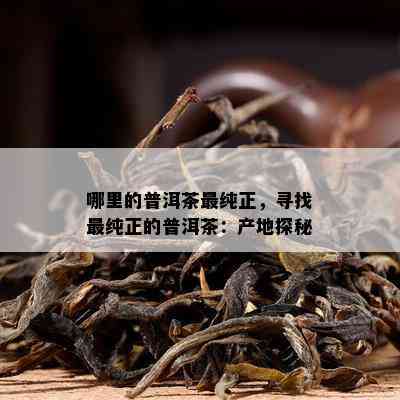 哪里的普洱茶最纯正，寻找最纯正的普洱茶：产地探秘