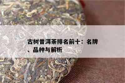 古树普洱茶排名前十：名牌、品种与解析