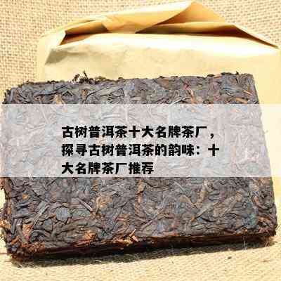 古树普洱茶十大名牌茶厂，探寻古树普洱茶的韵味：十大名牌茶厂推荐