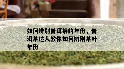 如何辨别普洱茶的年份，普洱茶达人教你如何辨别茶叶年份