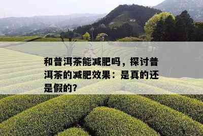 和普洱茶能减肥吗，探讨普洱茶的减肥效果：是真的还是假的？