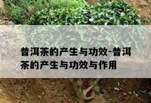 普洱茶的产生与功效-普洱茶的产生与功效与作用