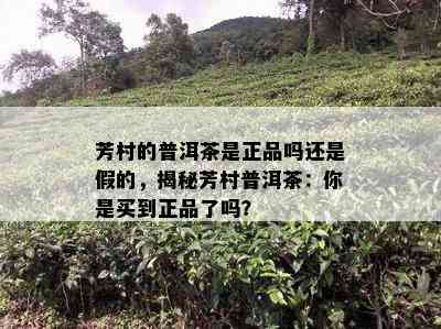 芳村的普洱茶是正品吗还是假的，揭秘芳村普洱茶：你是买到正品了吗？