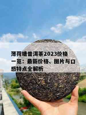 薄荷塘普洱茶2023价格一览：最新价格、图片与口感特点全解析