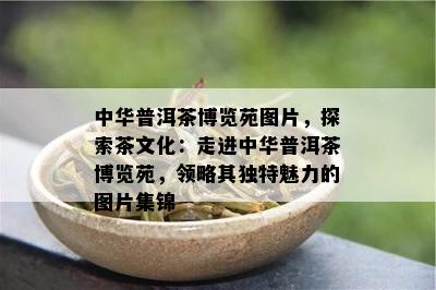 中华普洱茶博览苑图片，探索茶文化：走进中华普洱茶博览苑，领略其独特魅力的图片集锦