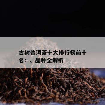 古树普洱茶十大排行榜前十名：、品种全解析