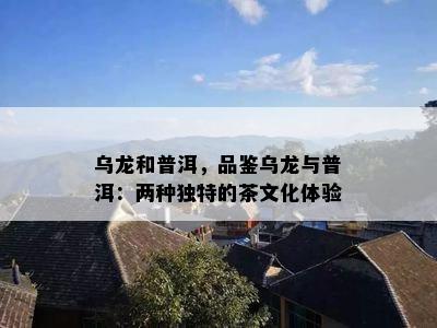 乌龙和普洱，品鉴乌龙与普洱：两种独特的茶文化体验