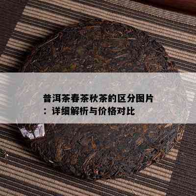 普洱茶春茶秋茶的区分图片：详细解析与价格对比