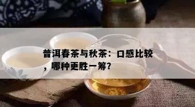 普洱春茶与秋茶：口感比较，哪种更胜一筹？