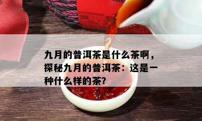 九月的普洱茶是什么茶啊，探秘九月的普洱茶：这是一种什么样的茶？