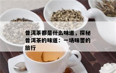 普洱茶都是什么味道，探秘普洱茶的味道：一场味蕾的旅行