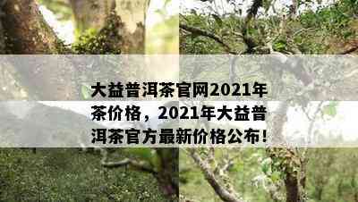 大益普洱茶官网2021年茶价格，2021年大益普洱茶官方最新价格公布！